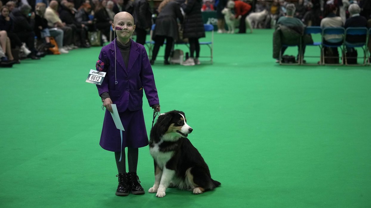 Schoolgirl, 11, returns to Crufts with beloved dog just three years after battling cancer during first appearance