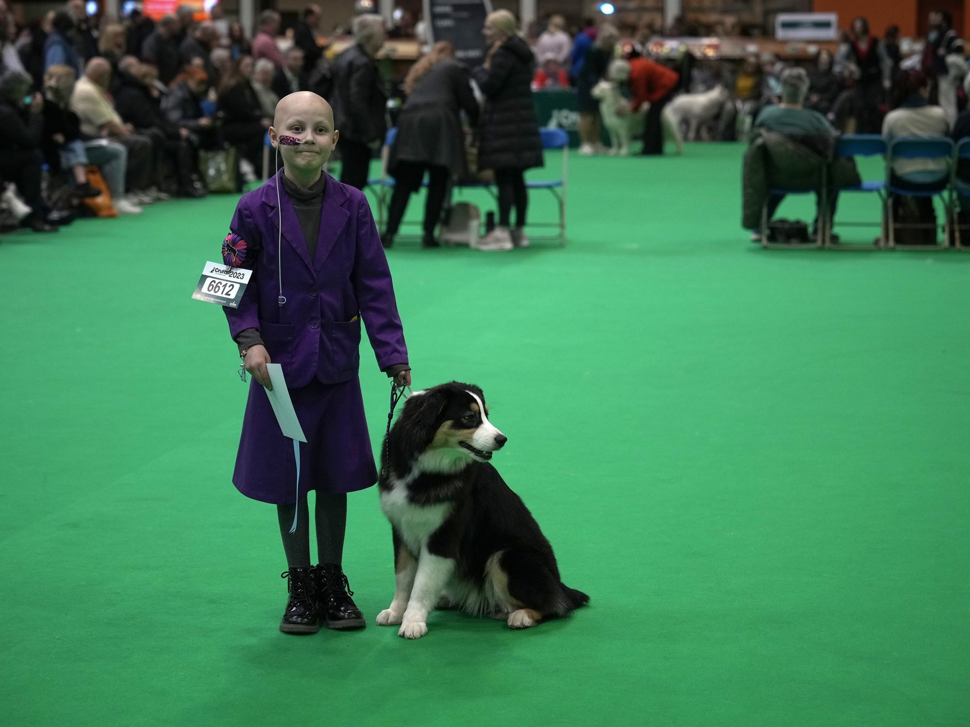 Schoolgirl, 11, returns to Crufts with beloved dog just three years after battling cancer during ...