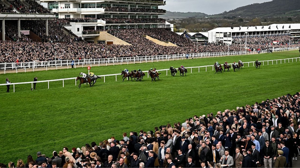 Why over 50 horses have been removed from Cheltenham Festival