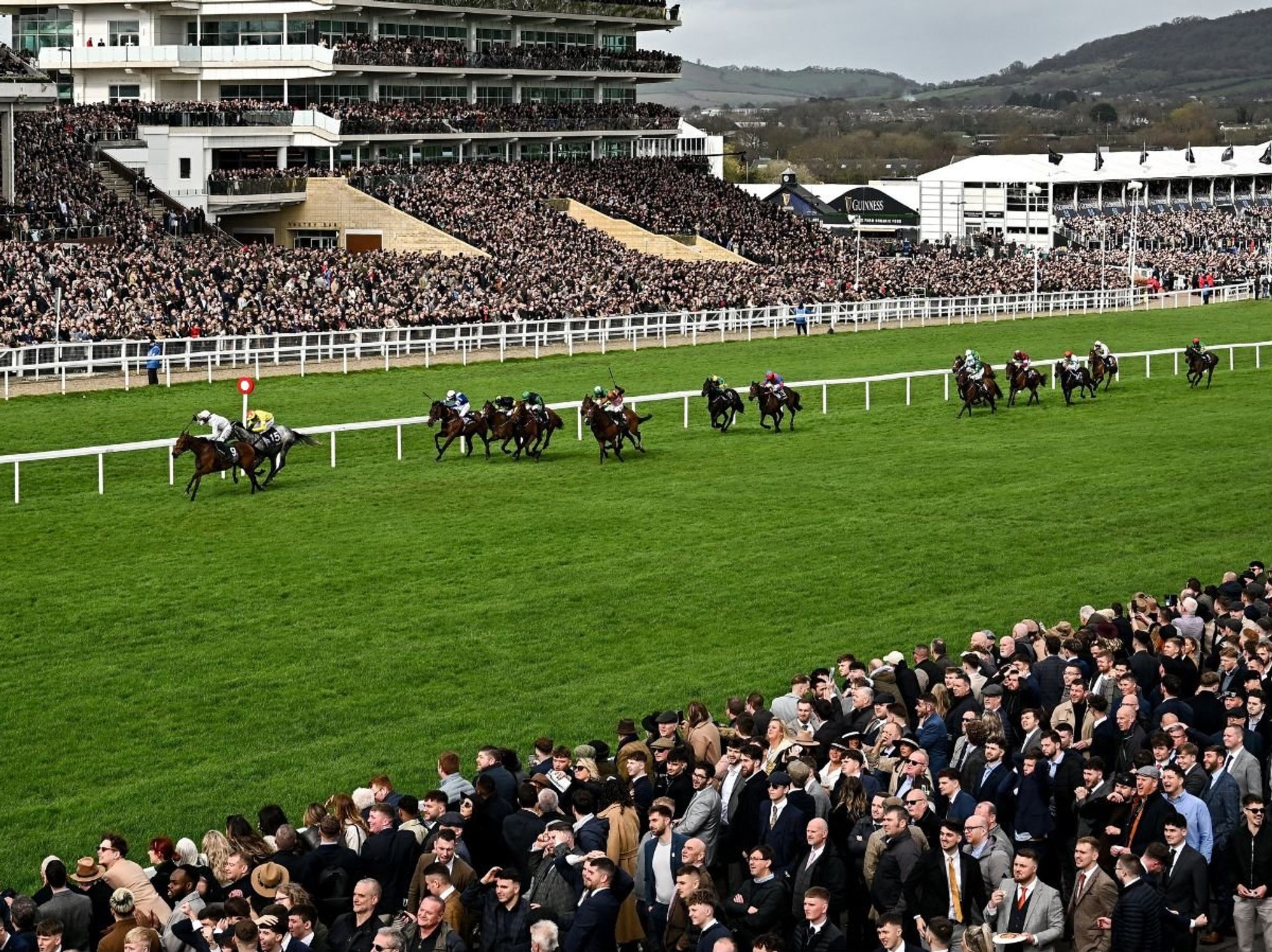 Why over 50 horses have been removed from Cheltenham Festival