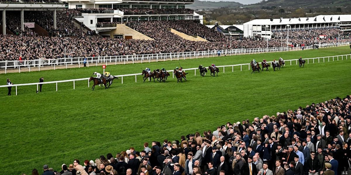 Why over 50 horses have been removed from Cheltenham Festival Why over 50 horses have been removed from Cheltenham Festival