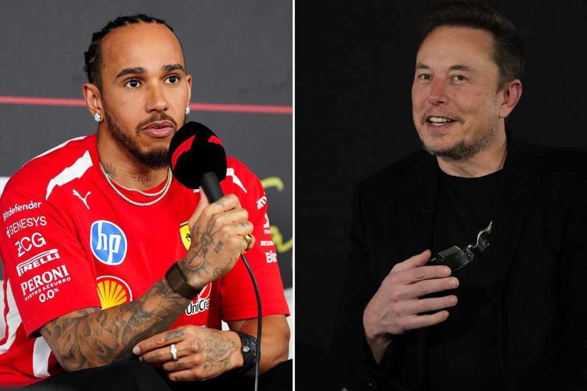 Elon Musk issues one-word response after Lewis Hamilton called for Africa 'to take land back'