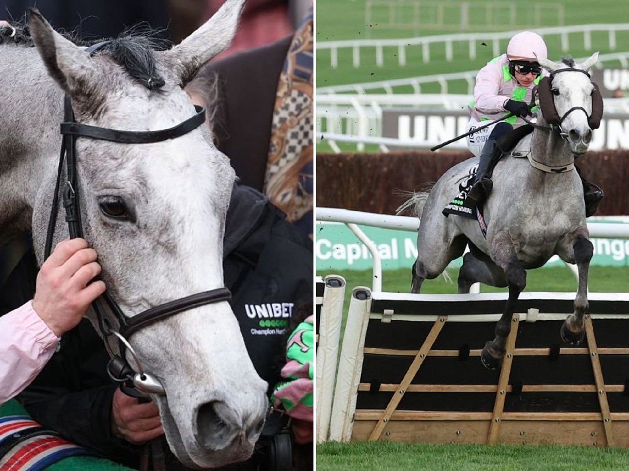 Lossiemouth sweeps to victory at Champions Hurdle and crowned 'Queen of Cheltenham'