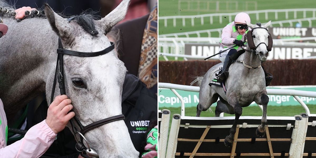 Lossiemouth wins Champions Hurdle and crowned ‘Queen of Cheltenham’ Lossiemouth wins Champions Hurdle and crowned ‘Queen of Cheltenham’