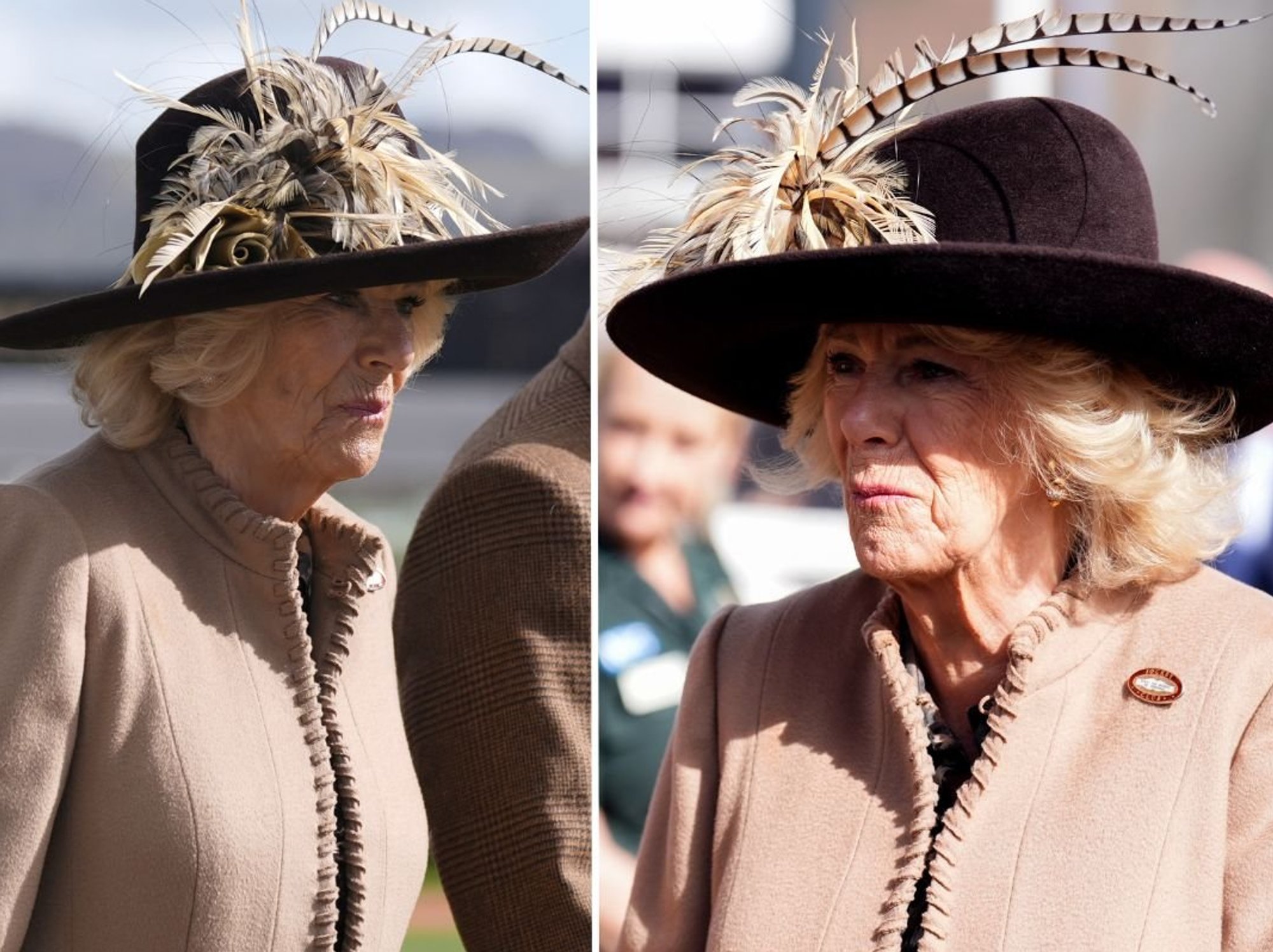Queen Camilla arrives at Ladies Day after Cheltenham Festival U-turns following 'woke' backlash
