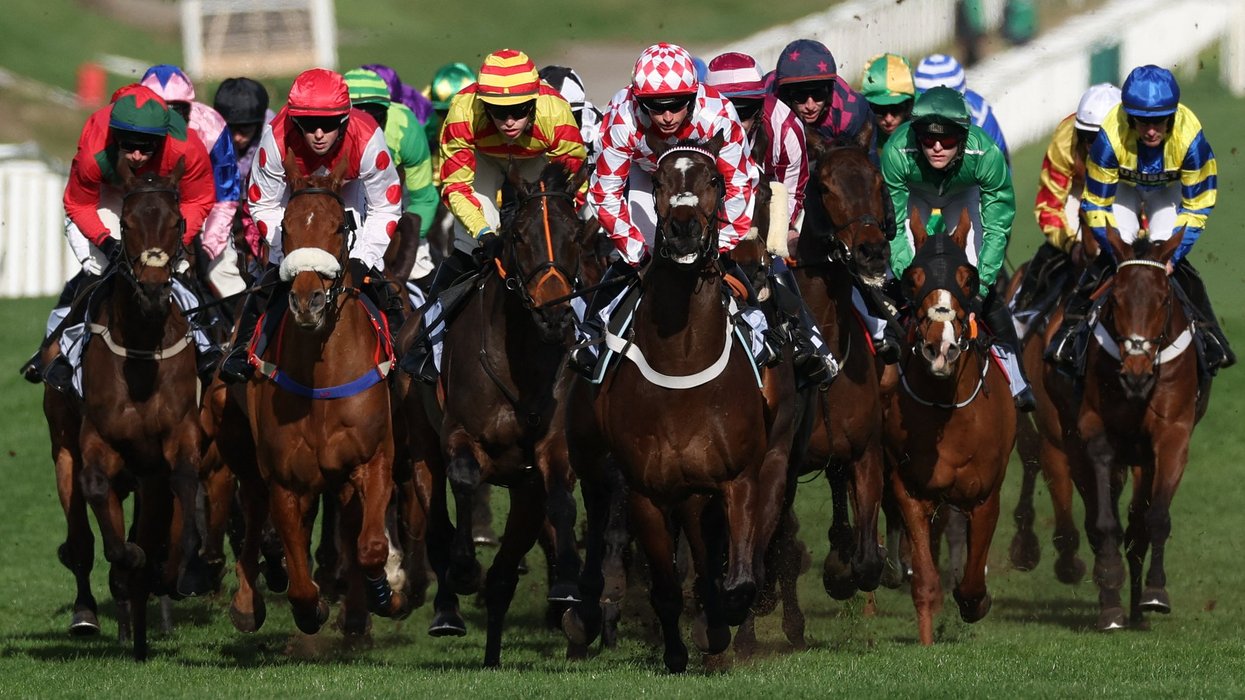 Cheltenham horse HMS Seahorse dies to mark second death at festival after fatal incident