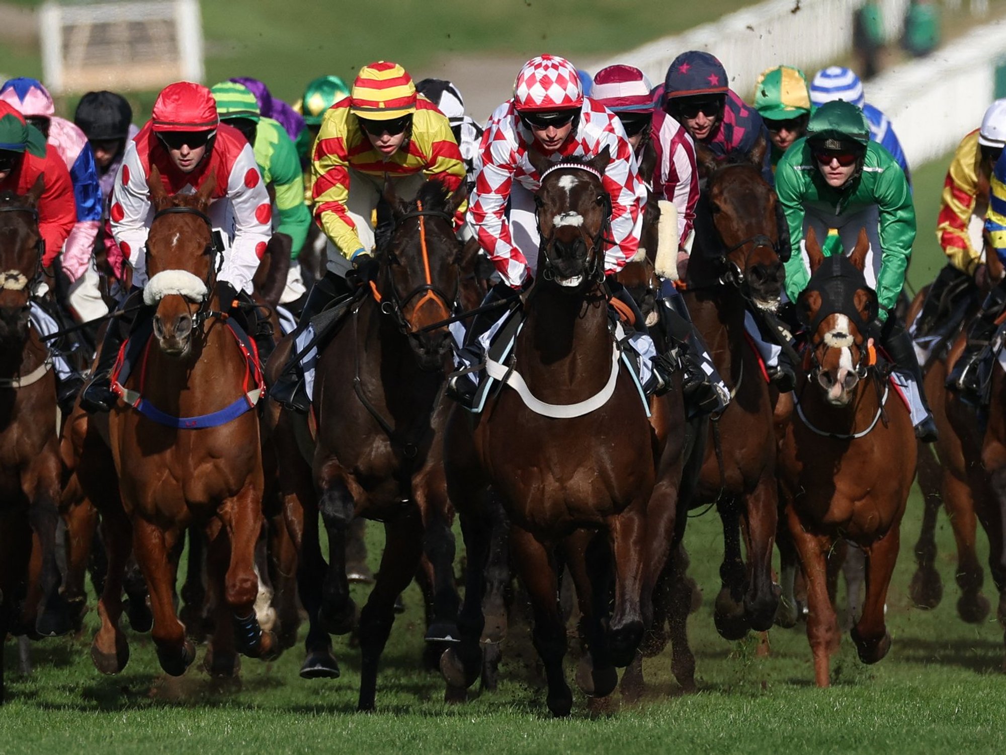 Cheltenham horse HMS Seahorse dies to mark second death at festival after fatal incident