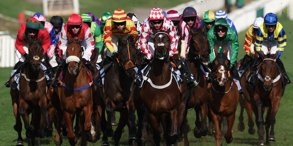 Cheltenham horse HMS Seahorse dies to mark second death at festival after fatal incident Cheltenham horse HMS Seahorse dies to mark second death at festival after fatal incident