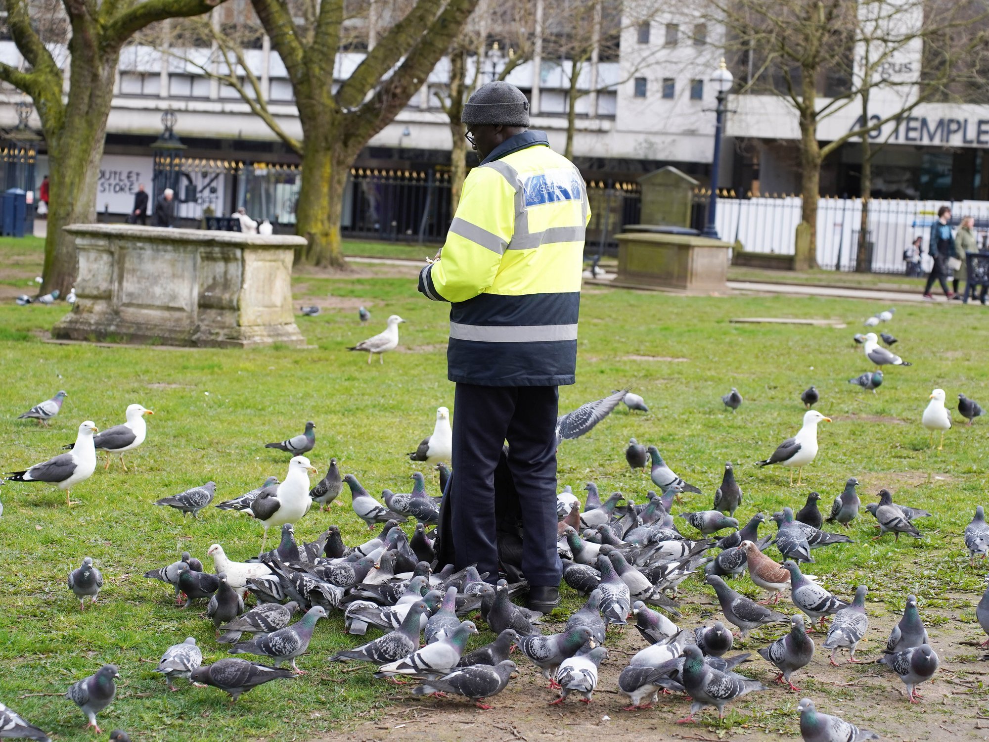 Council threatens Britons with five years in prison for feeding birds