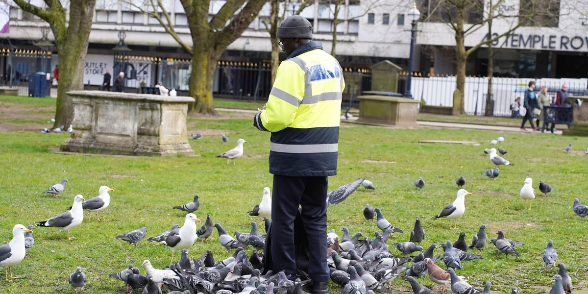Brent Council threatens Britons with five years in prison for feeding birds Brent Council threatens Britons with five years in prison for feeding birds