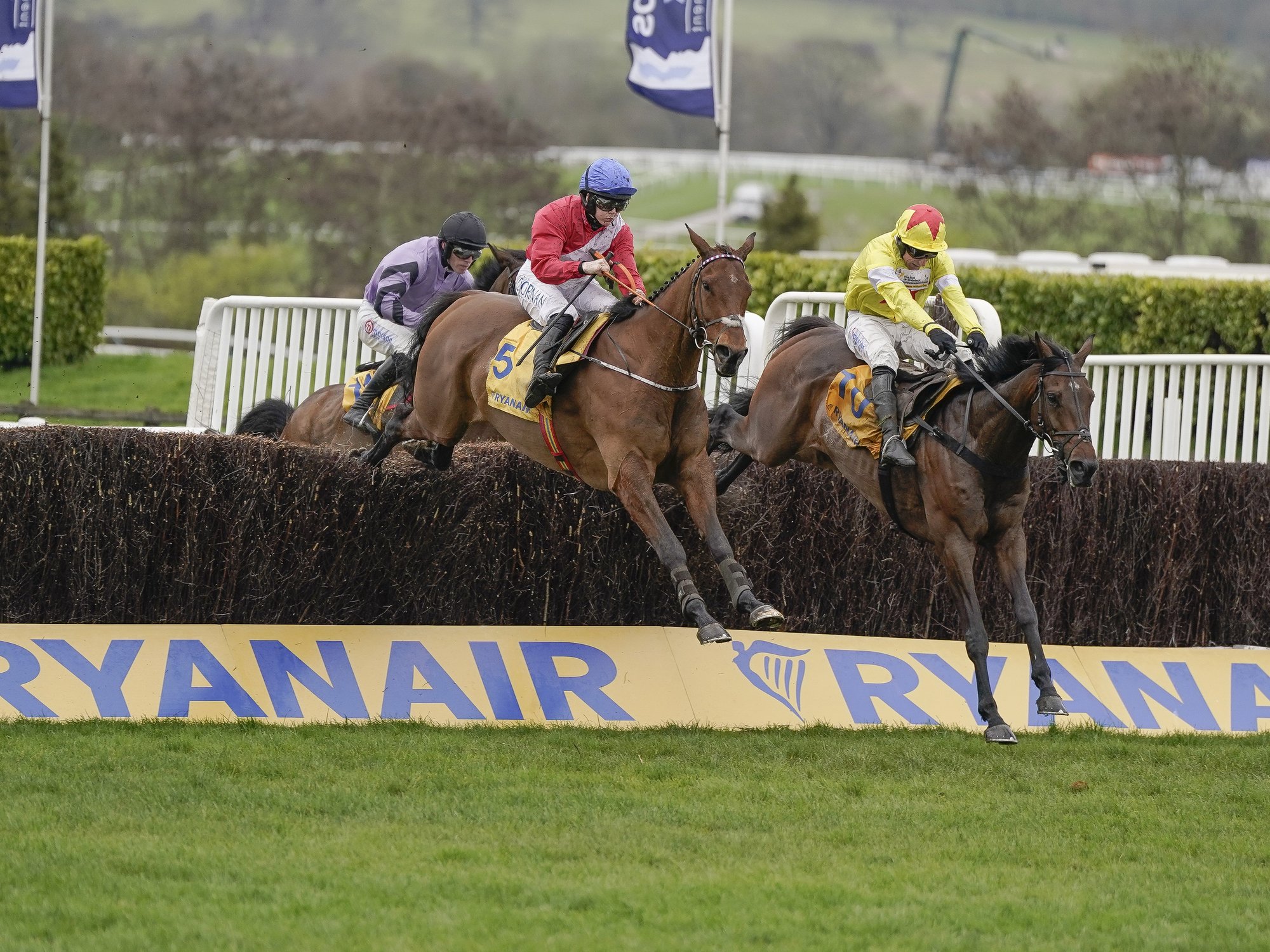 Cheltenham horse dies after collapsing following Gold Cup in tragic scenes to mark third death at...
