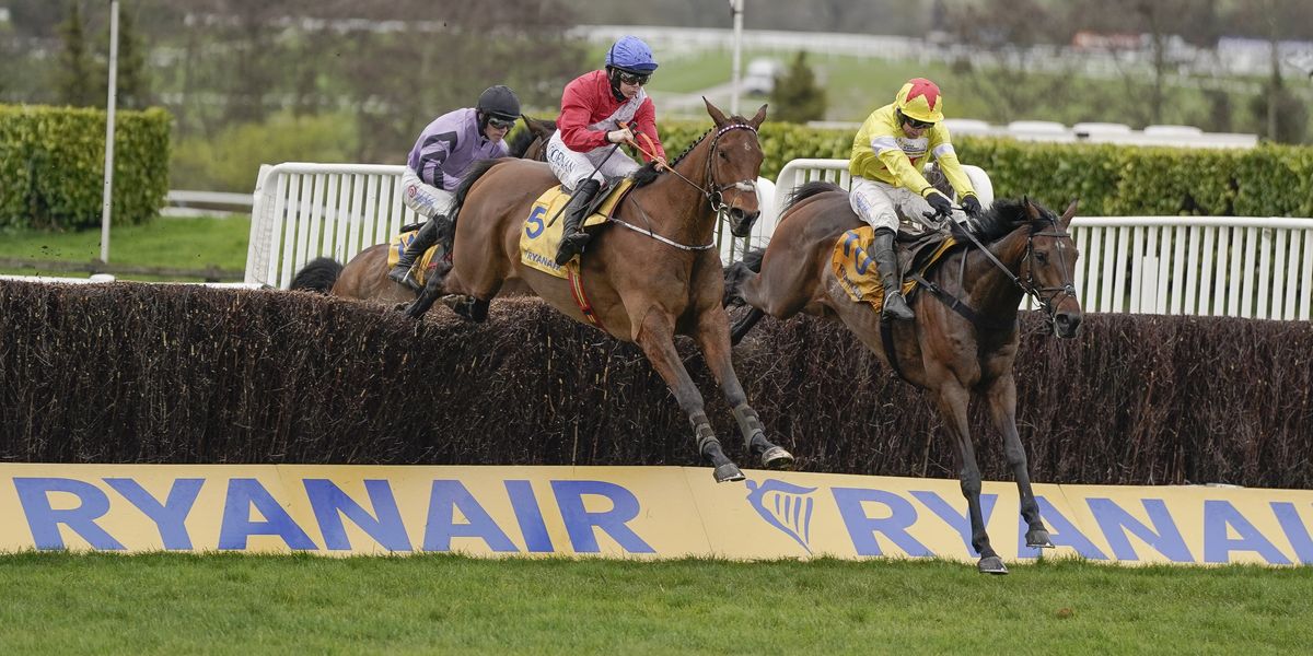 Cheltenham horse dies after collapsing following Gold Cup in tragic scenes to mark third death at Festival Cheltenham horse dies after collapsing following Gold Cup in tragic scenes to mark third death at Festival