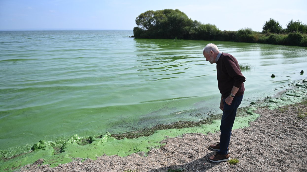 UK's largest lake which supplies drinking water to THOUSANDS of Britons home to genes capable of creating antibiotic-resistant superbugs