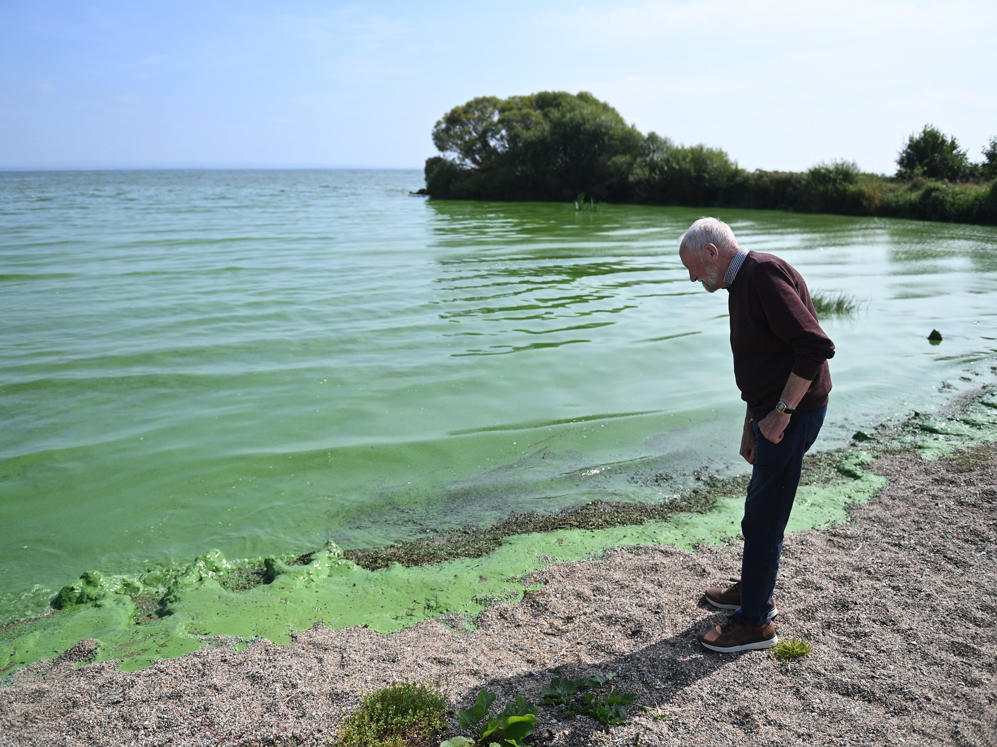 UK's largest lake which supplies drinking water to THOUSANDS of Britons home to genes capable of ...