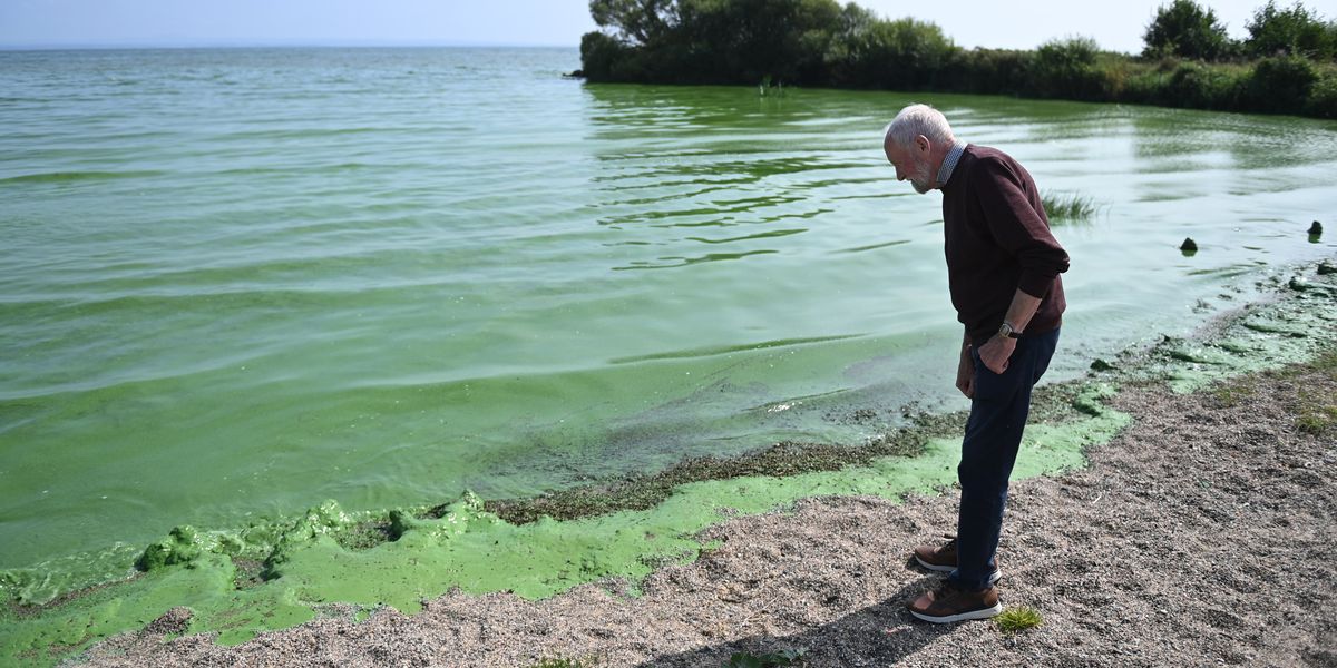 UK’s largest lake which supplies drinking water to THOUSANDS of Britons home to genes capable of creating antibiotic-resistant superbugs UK’s largest lake which supplies drinking water to THOUSANDS of Britons home to genes capable of creating antibiotic-resistant superbugs