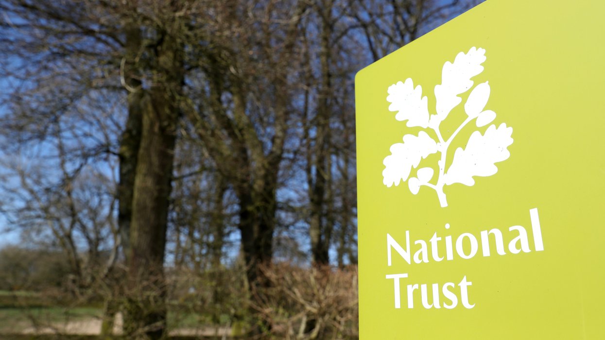 National Trust refuses to compensate family after tree damages 500-year old cottage