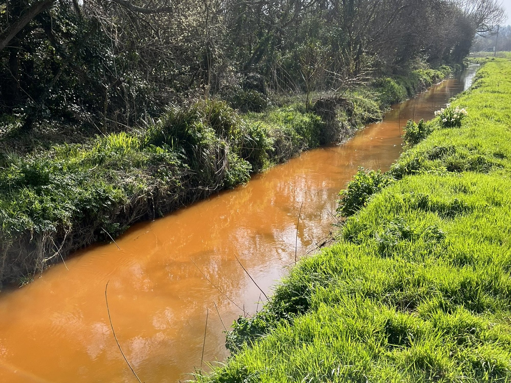 Stream in English tourist hotspot turns ORANGE as public given strict warning amid urgent investigation