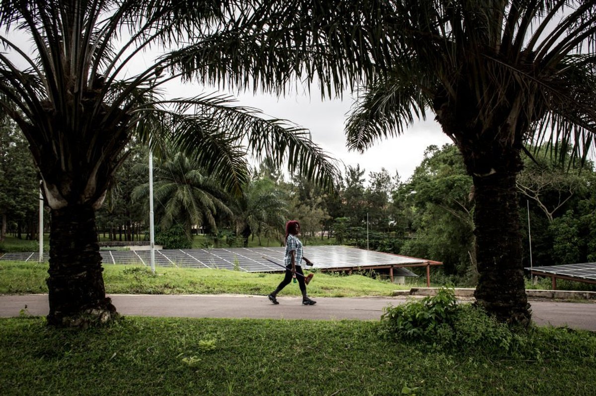 Labour spends £14million on 'ridiculous' solar panels for DR Congo - while UK taxpayers 'hammered' by soaring energy bills