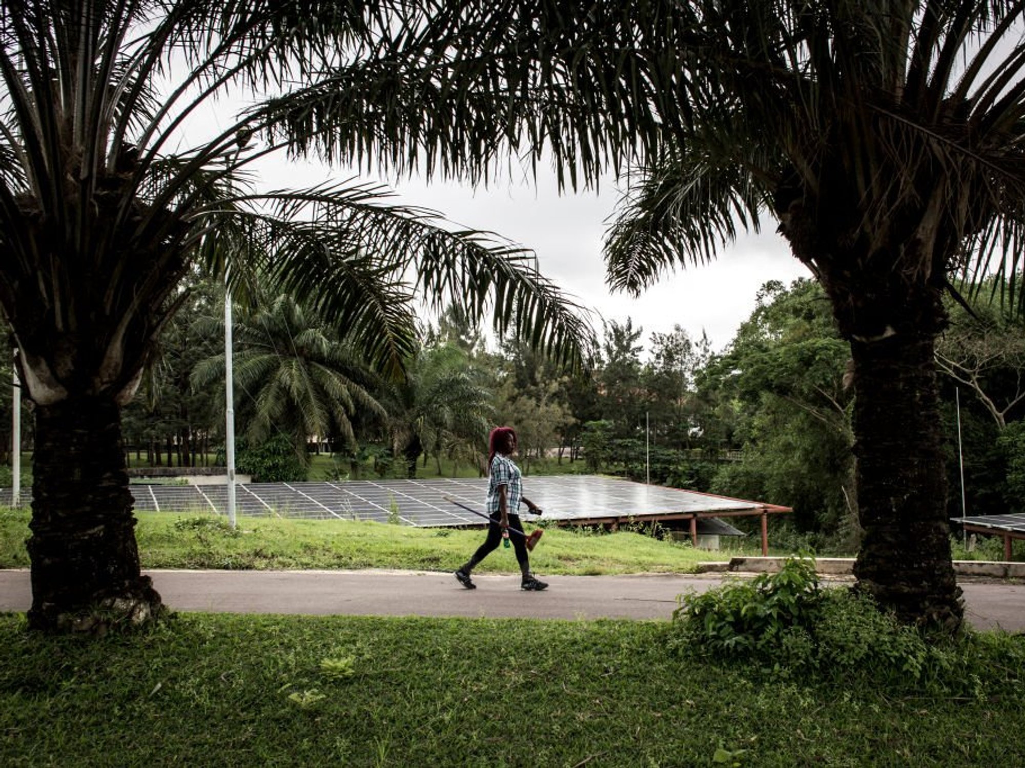 Labour spends £14million on 'ridiculous' solar panels for DR Congo as taxpayers 'hammered' by bills