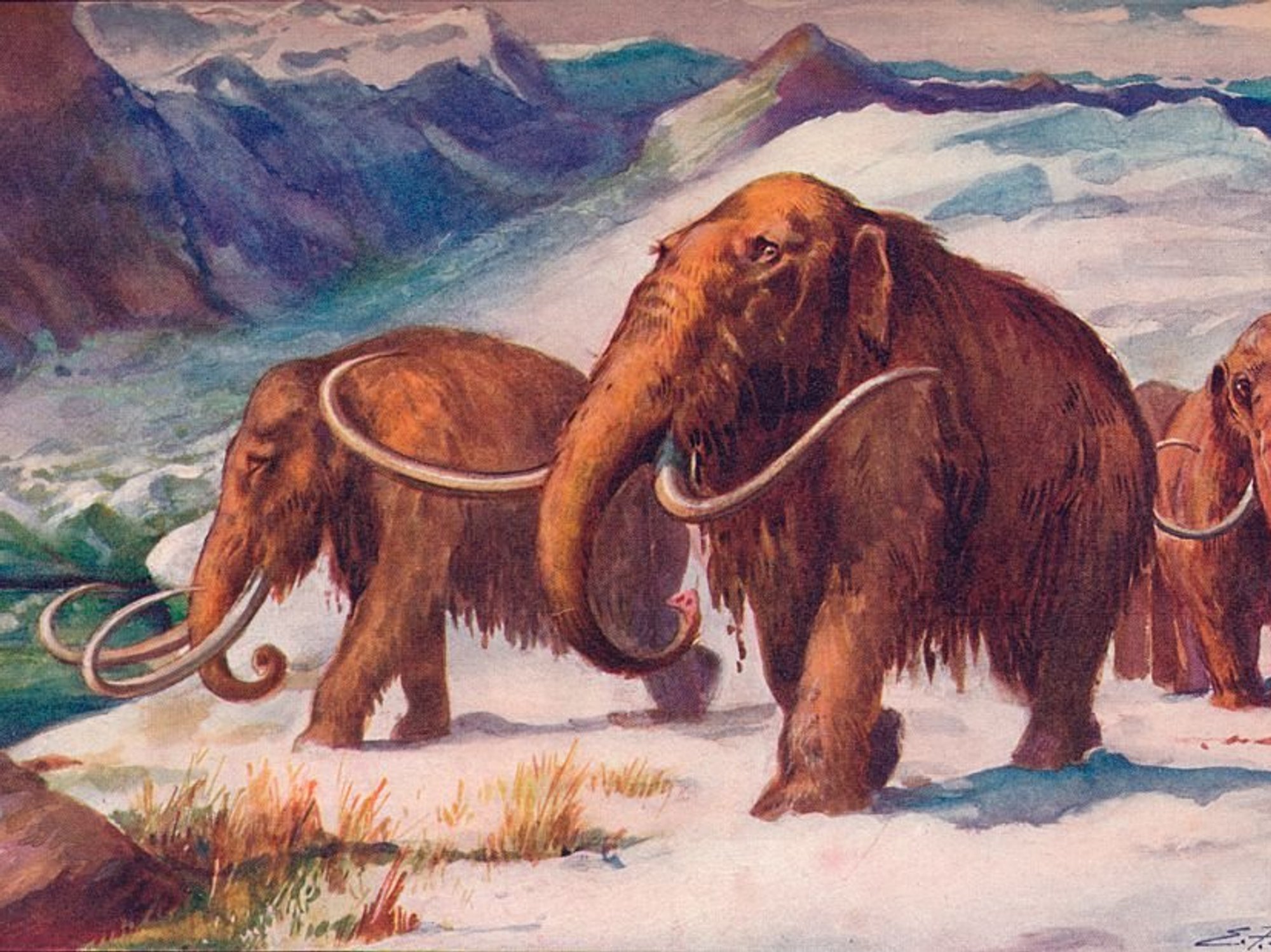 Greenhouse gases NOT to blame for prehistoric climate change, study of ice samples reveals