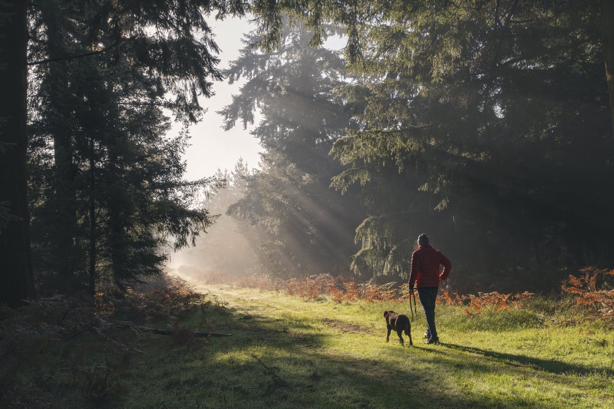 Dogs became man's best friend 5,000 years earlier than thought, new study finds