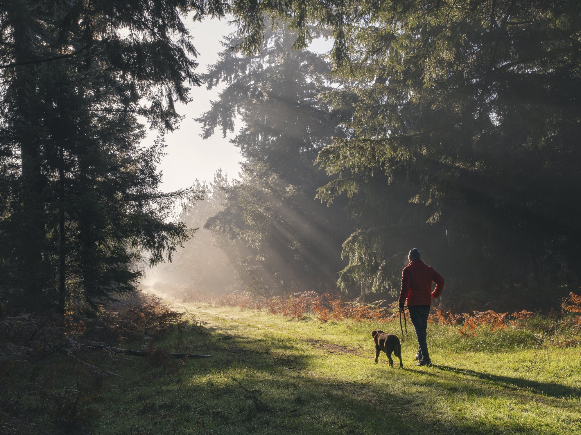 Dogs became man's best friend 5,000 years earlier than thought, new study finds