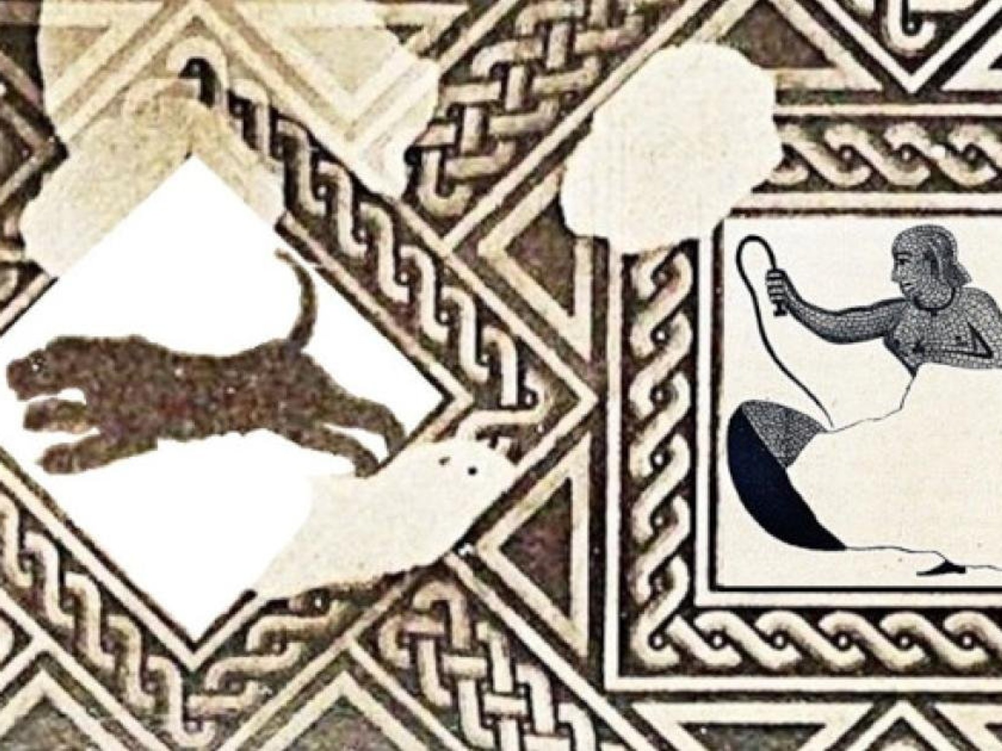 Historians uncover first direct evidence of female gladiators in Roman arena