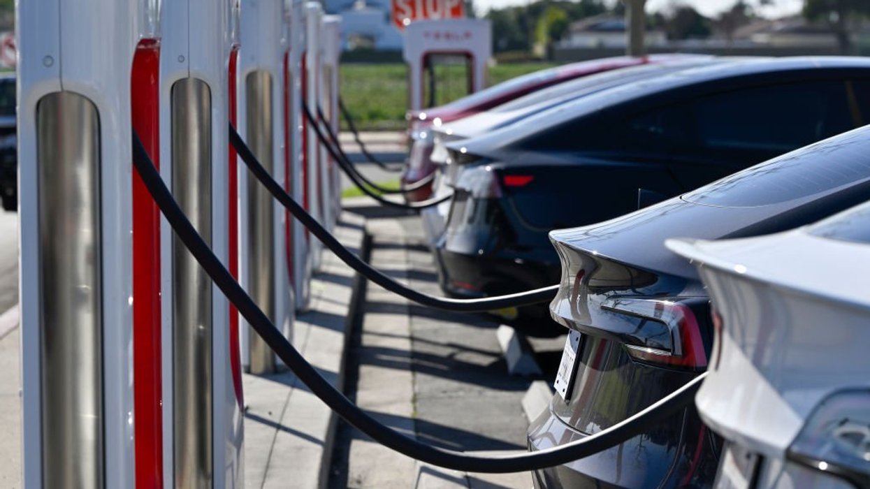 Labour orders review into 2030 ban on sale of new petrol and diesel vehicles