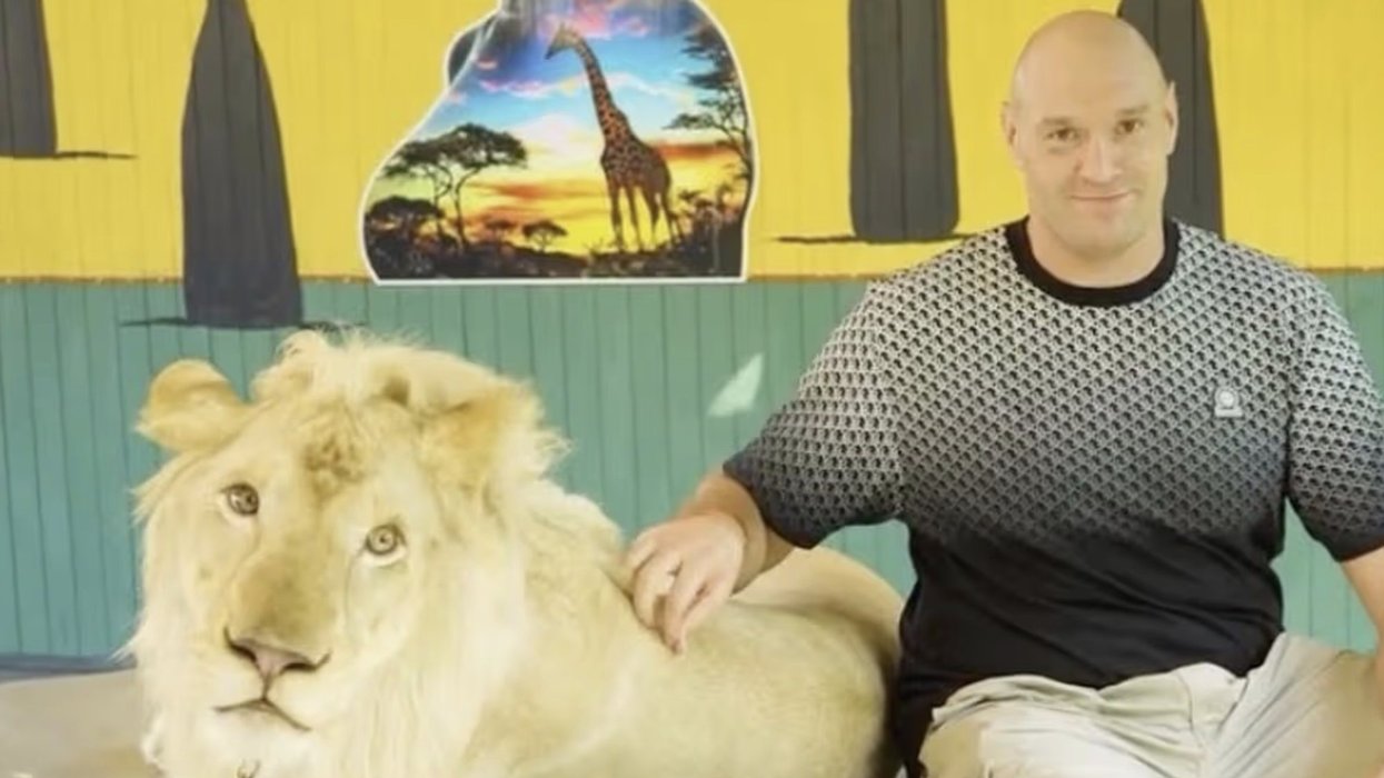 Tyson Fury comes under fire for 'cruel' publicity stunt involving a lion ahead of Arslanbek Makhmudov fight