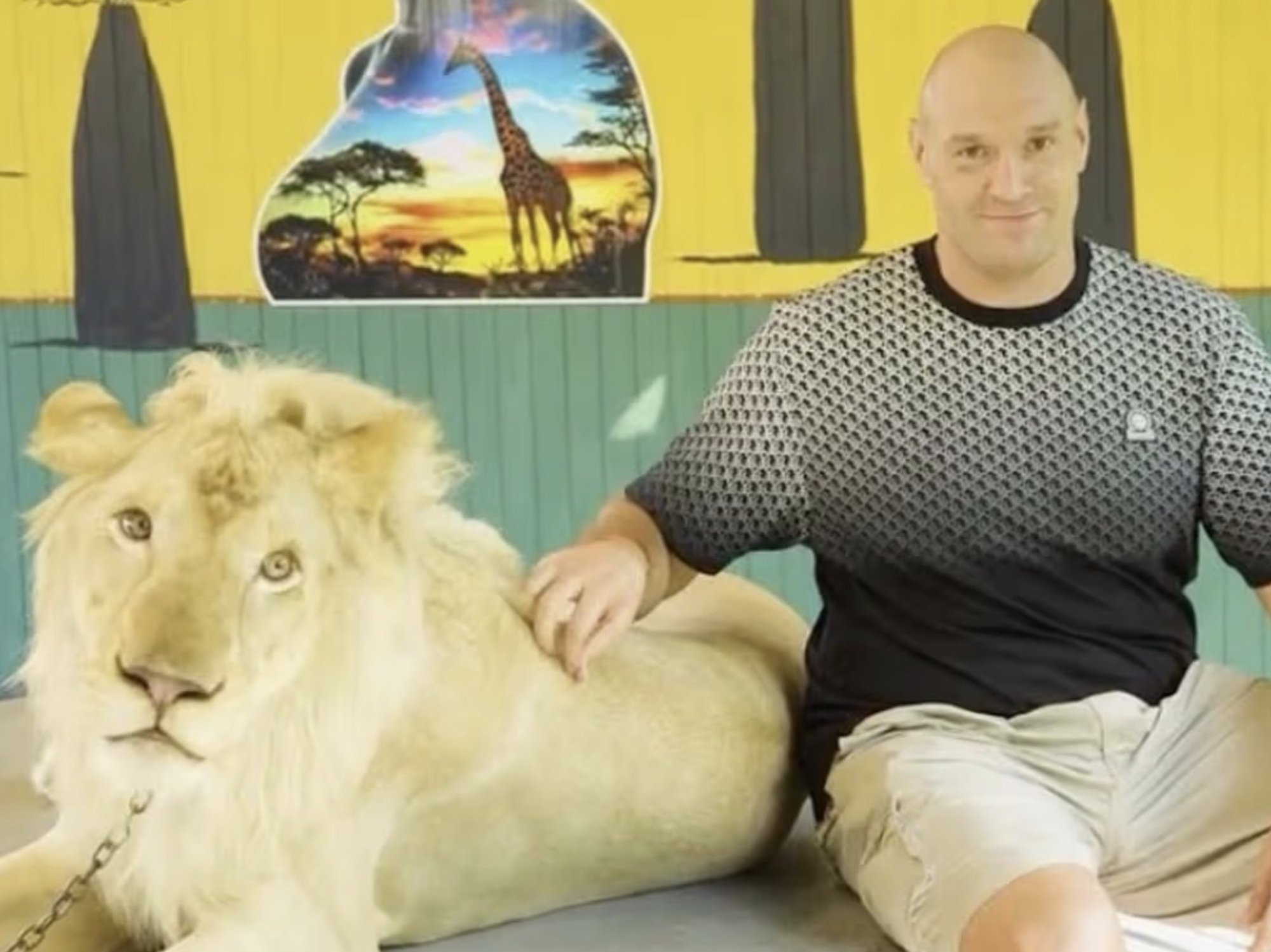 Tyson Fury comes under fire for 'cruel' publicity stunt involving a lion ahead of Arslanbek Makhm...