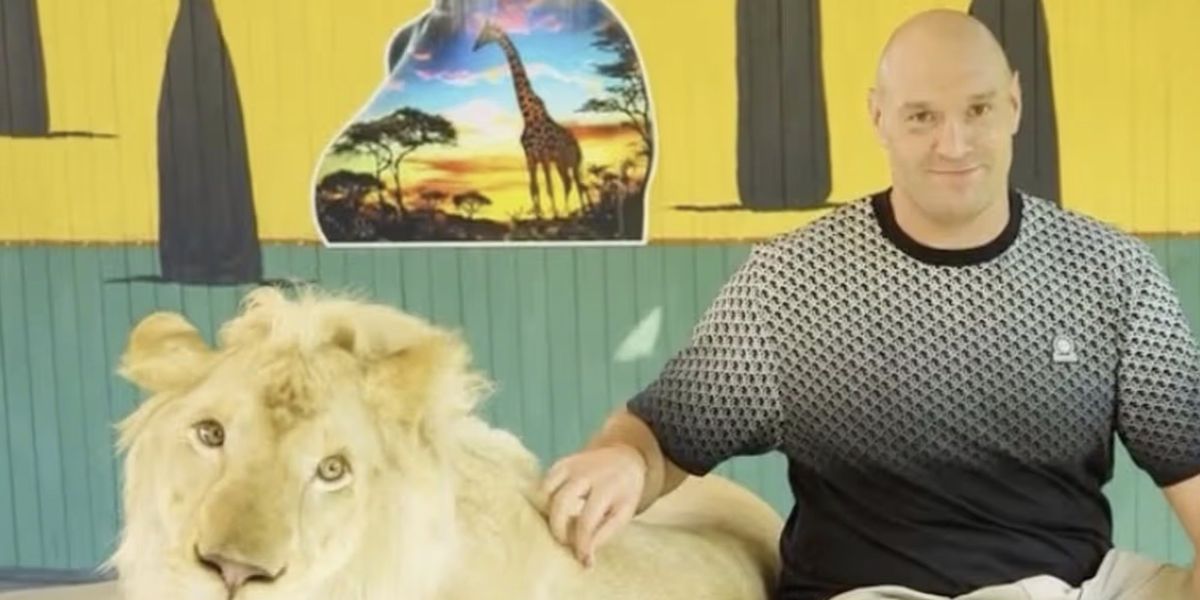 Tyson Fury comes under fire for ‘cruel’ publicity stunt involving a lion ahead of Arslanbek Makhmudov fight Tyson Fury comes under fire for ‘cruel’ publicity stunt involving a lion ahead of Arslanbek Makhmudov fight