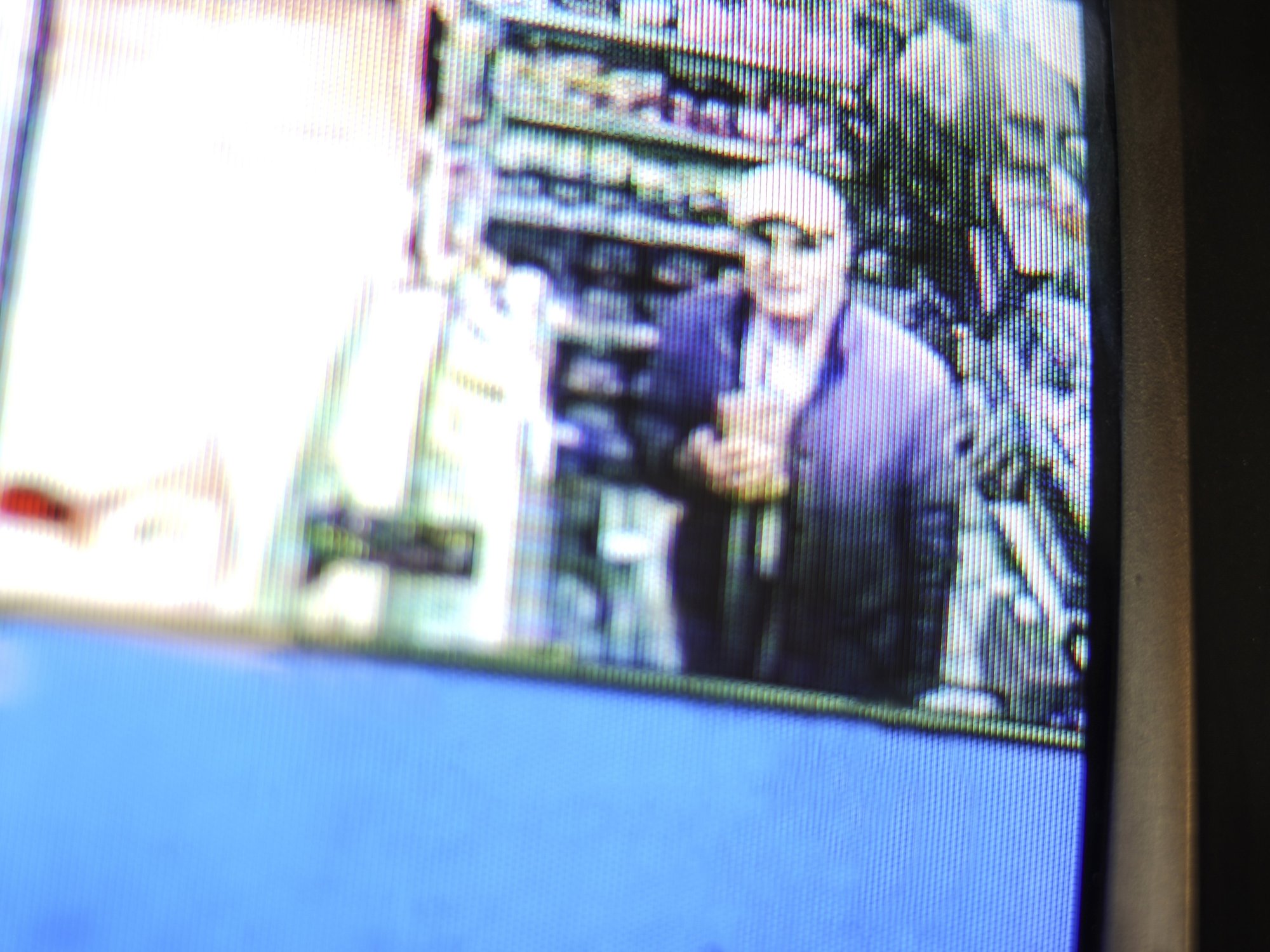 POLL: Is petty crime out of control in Britain? YOU DECIDE