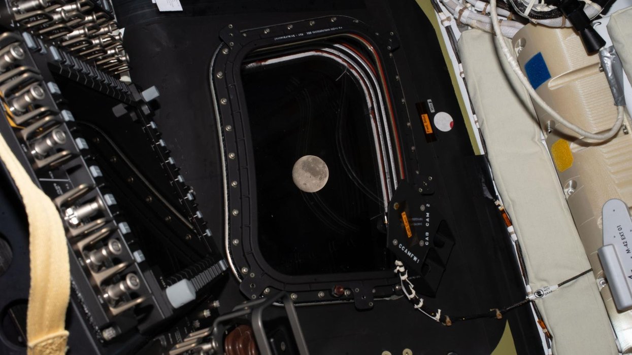 Nasa loses contact with Artemis II capsule just hours after setting historic record