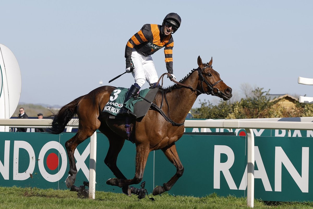 Defending champion out of Grand National 12 months after 33-1 outsider stunned the world