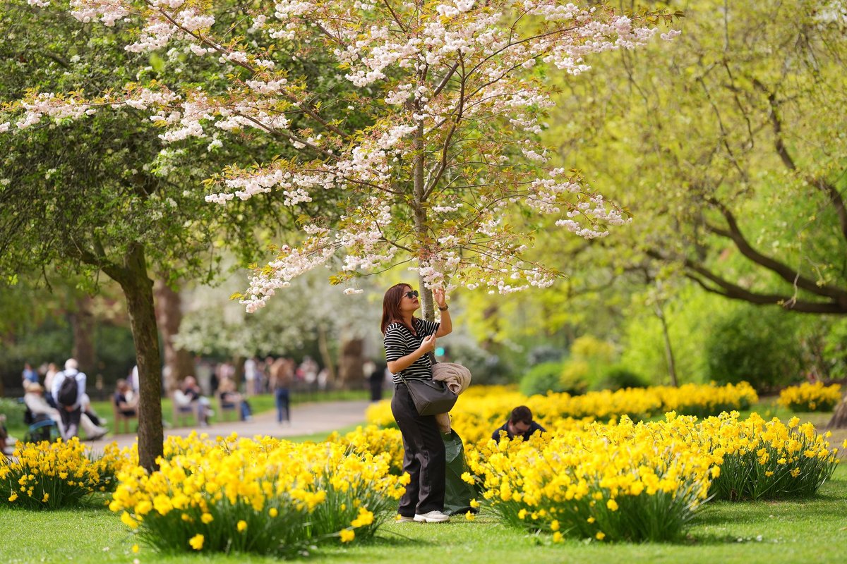 UK weather: Britain's mini spring heatwave could be one of many over the coming weeks