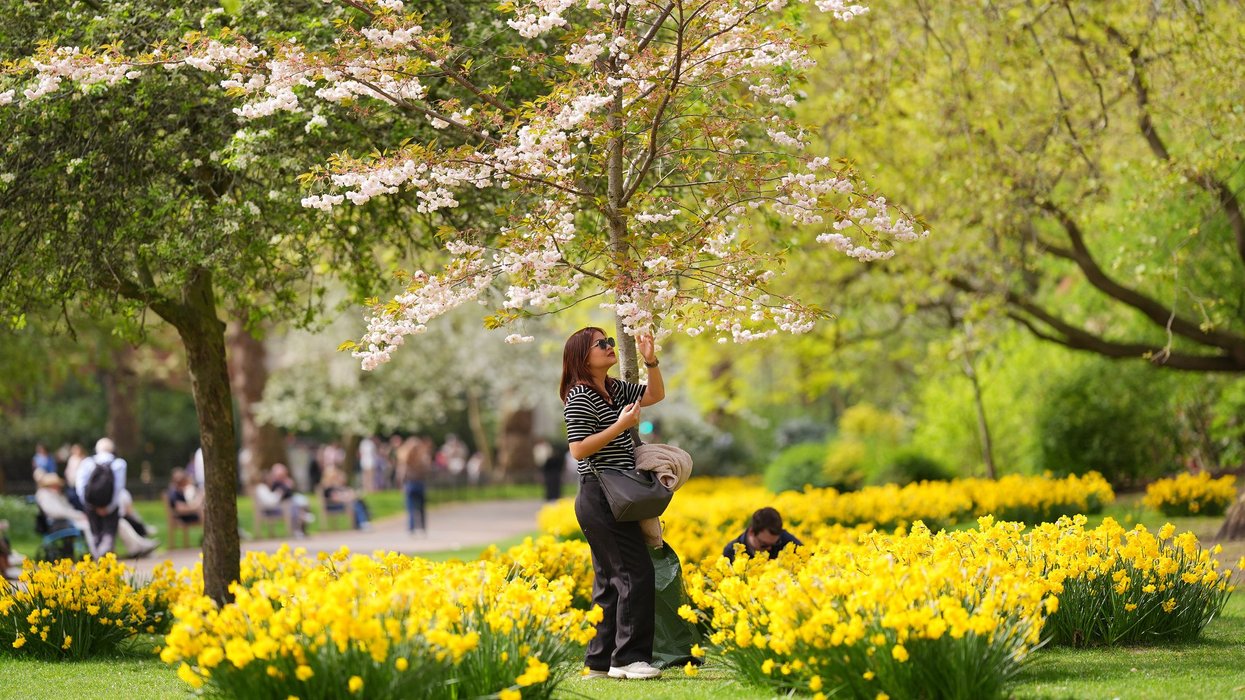 UK weather: Britain's mini spring heatwave could be one of many over the coming weeks