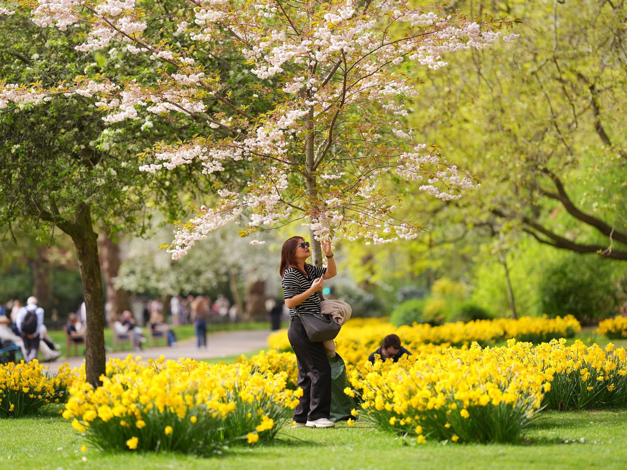 UK weather: Britain's mini spring heatwave could be one of many over the coming weeks
