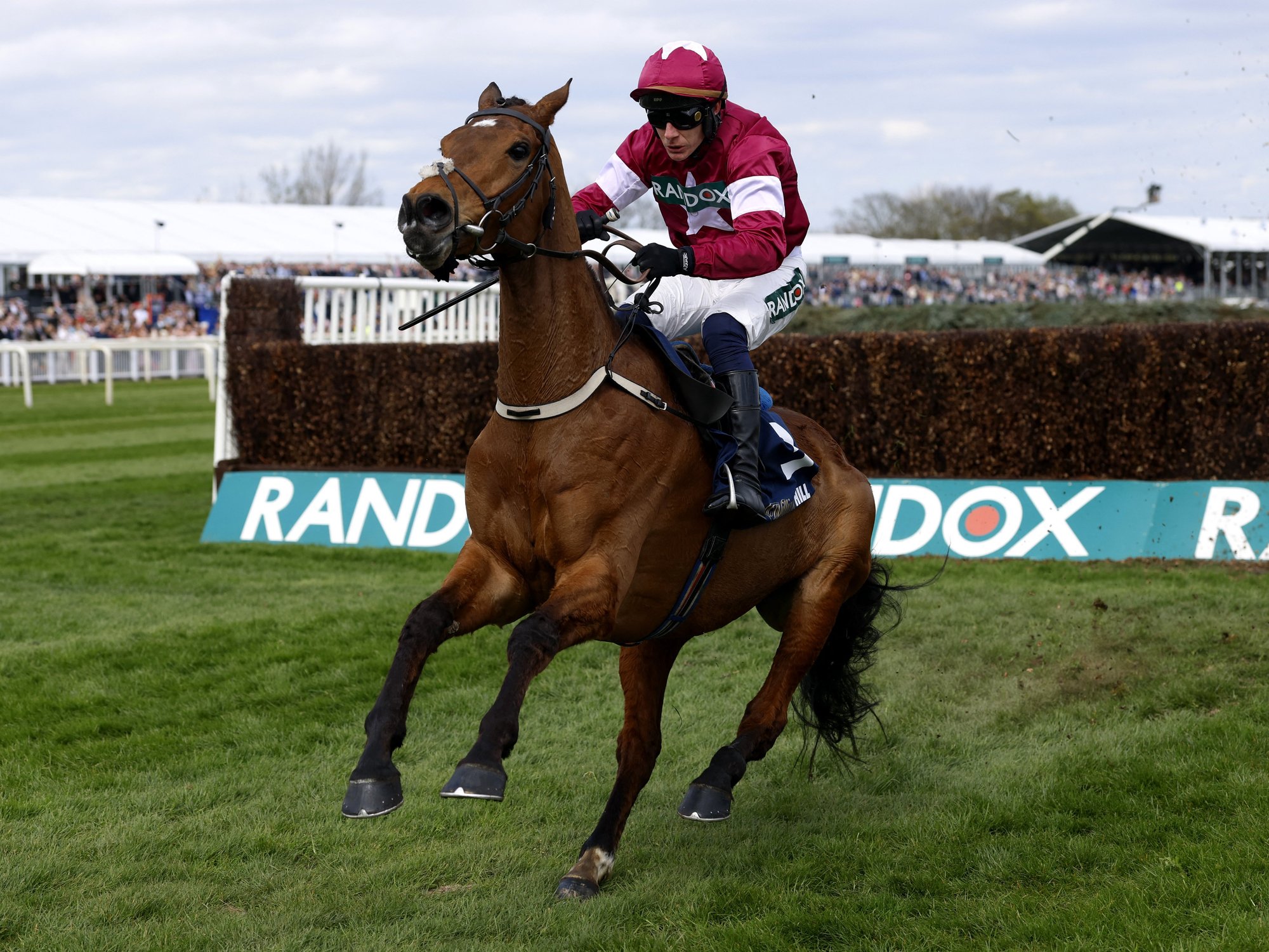 Grand National horse dies tragically moments after winning race on Ladies Day