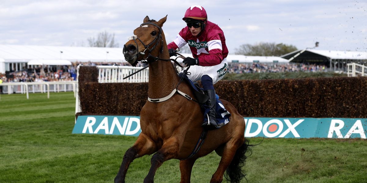 Grand National horse dies tragically moments after winning race on Ladies Day Grand National horse dies tragically moments after winning race on Ladies Day