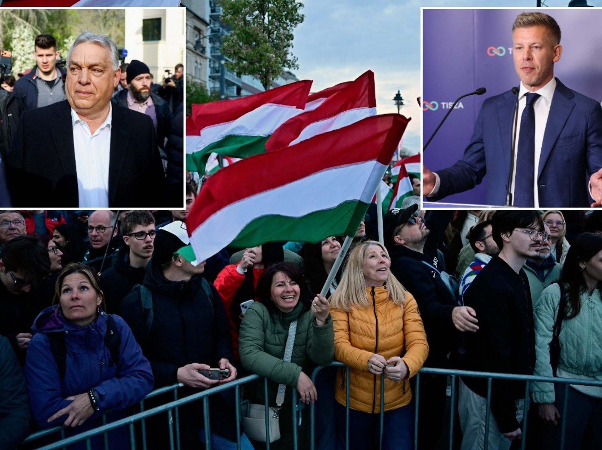 Viktor Orban admits defeat in phone call to rival as 16-year hold on power crumbles in landslide ...