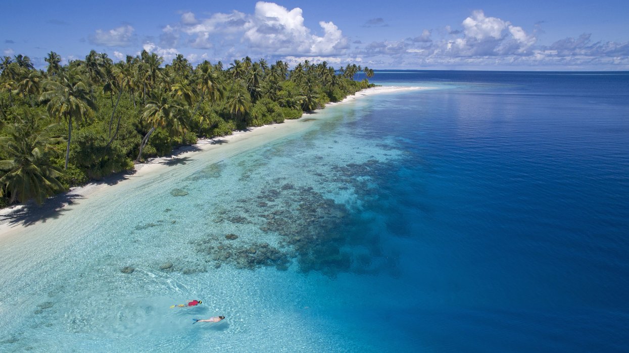 Tourist fighting for life after losing leg in horror shark attack at popular holiday hotspot