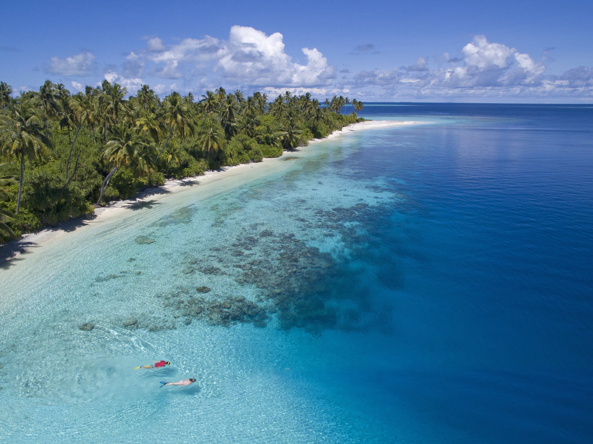 Tourist fighting for life after losing leg in horror shark attack at popular holiday hotspot