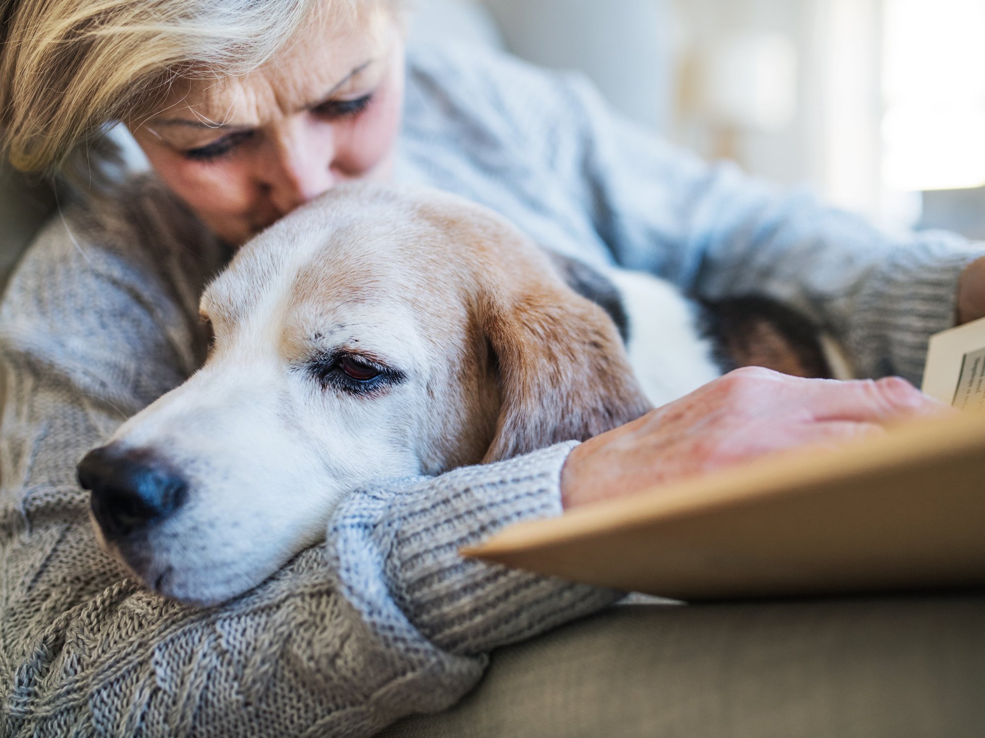 Dog can 'read humans like a book' – groundbreaking study reveals hidden depth of canine care