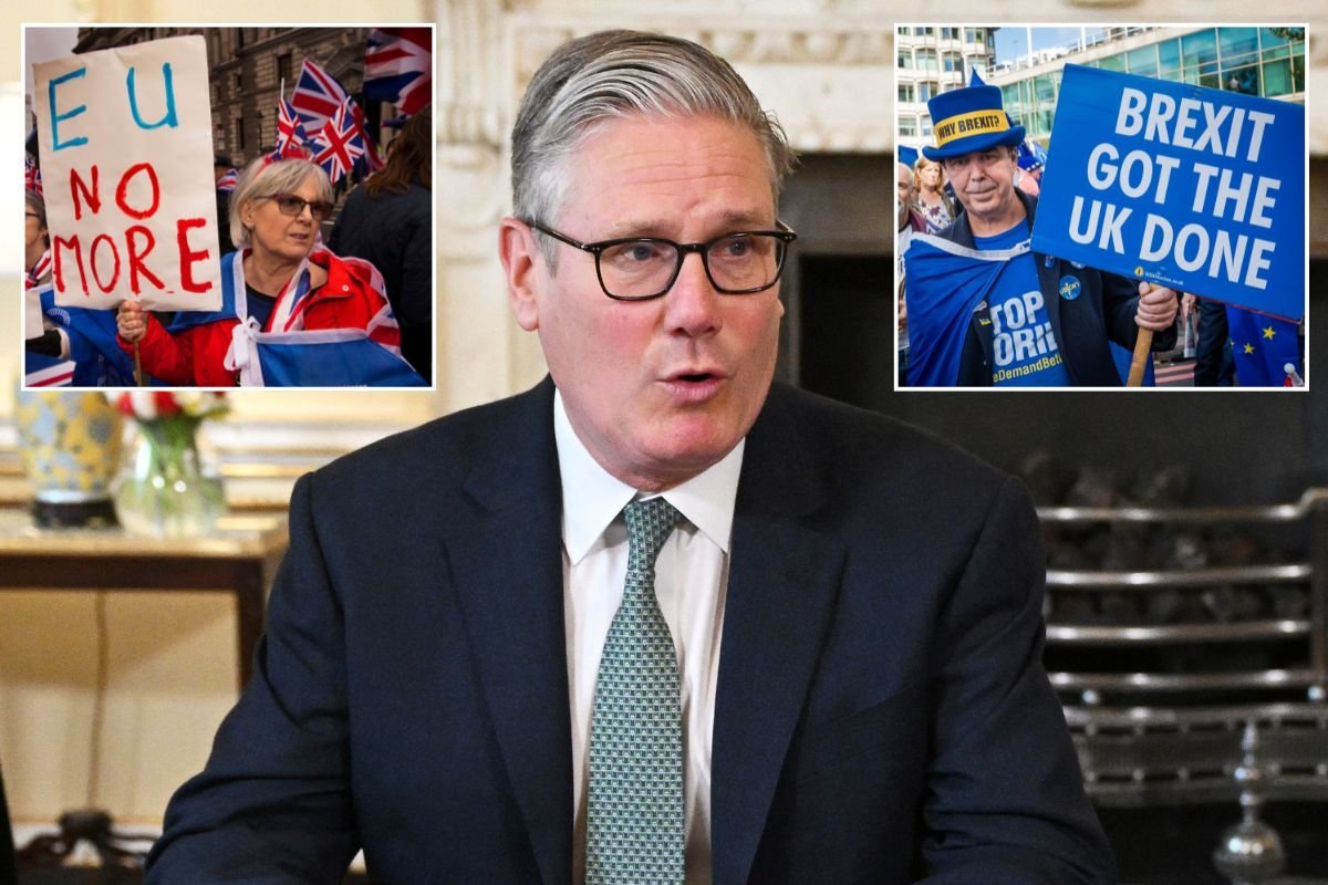 ‘We have one chance to stop this!’ Brexiteers draw up battle plan to stop Keir Starmer’s EU reset betrayal