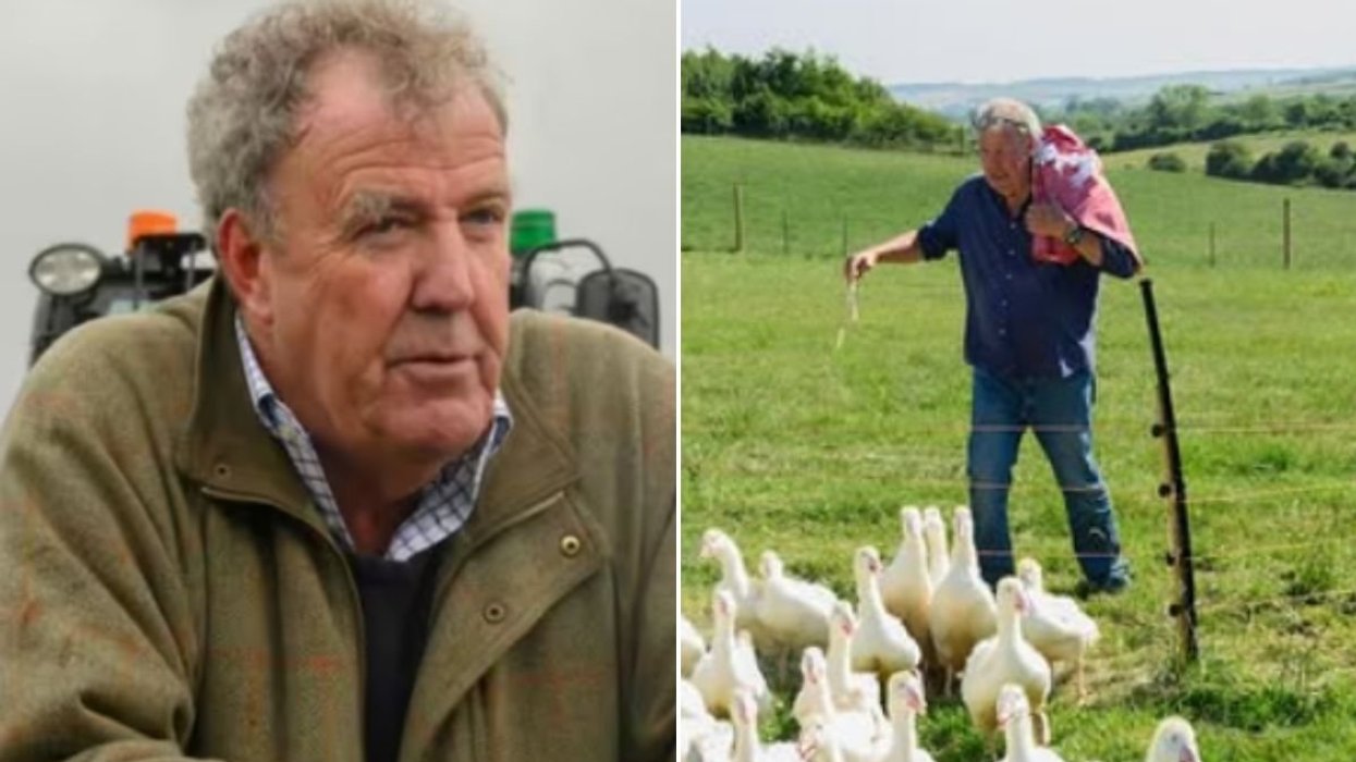 Jeremy Clarkson shares devastating update on Diddly Squat Farm with candid admission: 'Won't make money'