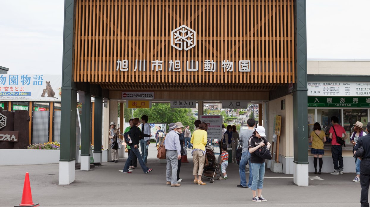 Zoo forced to shut after employee 'disposes of wife's body in incinerator' before starting shift