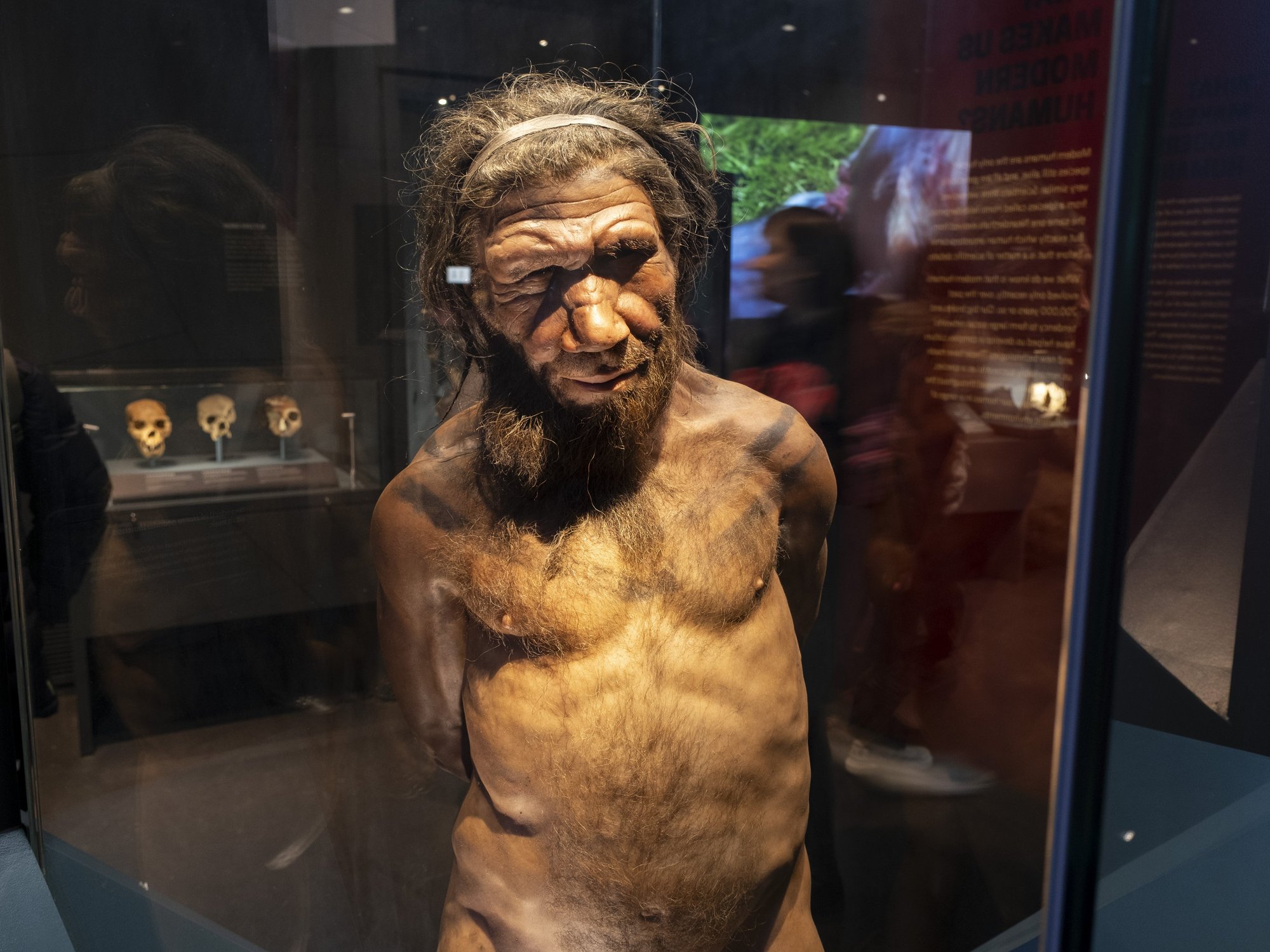 Scientists share bombshell new claim as to why Neanderthals really died out