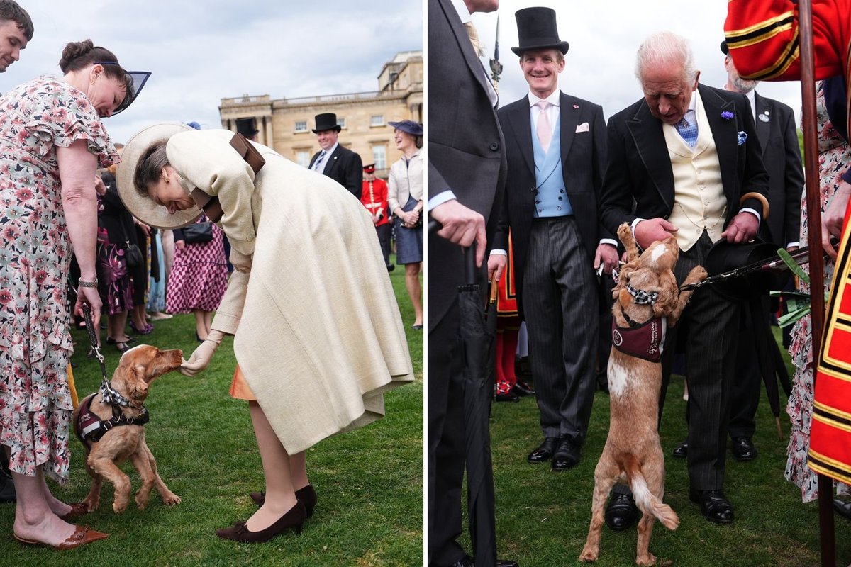 Surprise guest takes centre stage at Buckingham Palace garden party - greeting King, Queen and Princess Anne
