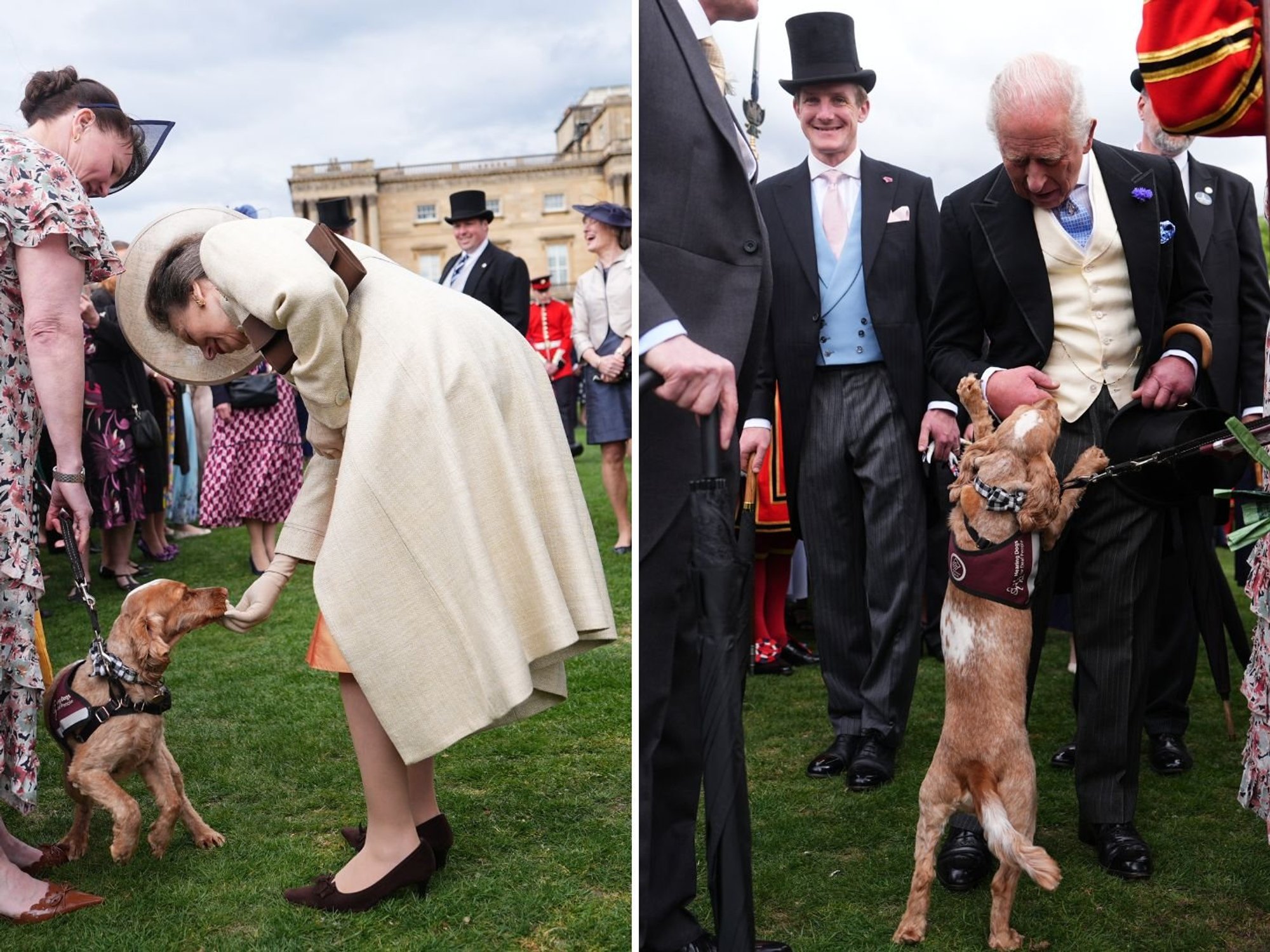 Surprise guest takes centre stage at Buckingham Palace garden party - greeting King, Queen and Pr...
