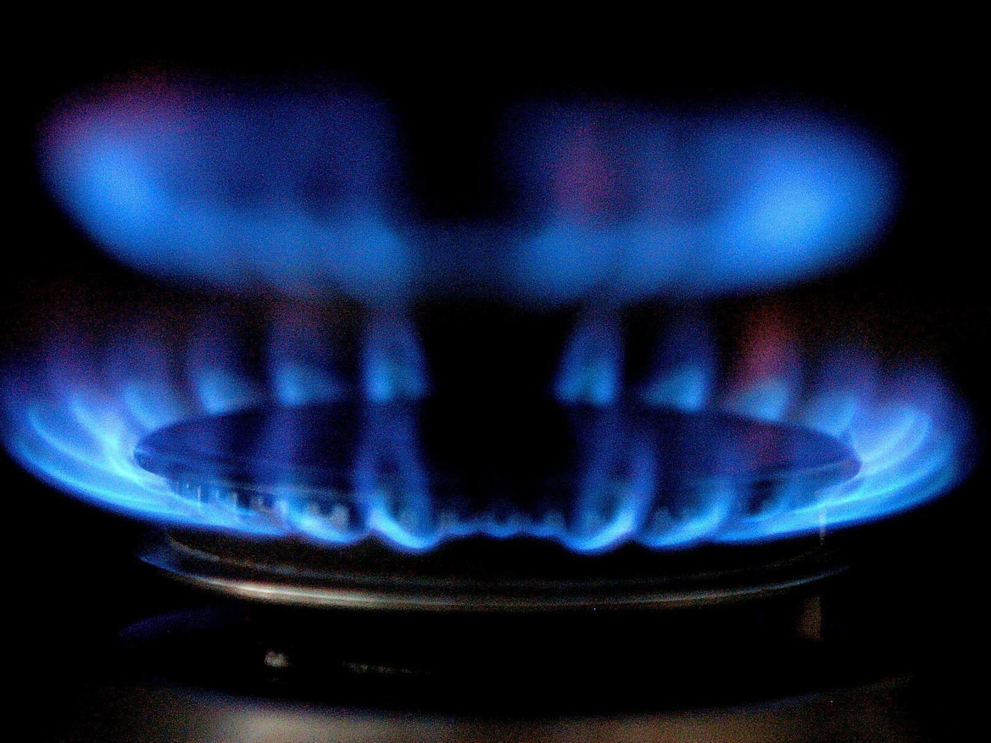 British Gas owner snaps up gas-fired power station for £370m in south Wales